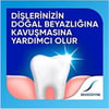 Sensodyne Naneli Diş Macunu Hassas Dişler İçin Koruma 75 ml Nane Aromalı
