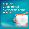Sensodyne Promine Aktif Diş Minesi Kalkanı 75 ml Naneli Güçlendirici Ferahlatıcı Formül
