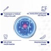 Signal Diş Fırçası Sensitive Pro Yumuşak X1