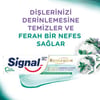 Signal Nature Elements Arındırıcı Diş Macunu 75ml