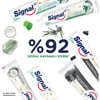 Signal Nature Elements Hindistan Cevizi Özlü Diş Macunu 75 ml