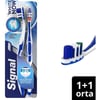 Signal White Now Beyaz Dişler - Diş Fırçası 1+1