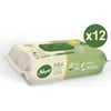 Sleepy Doğal Organik Pamuklu Temizlik Havlusu 12x50 (600 Yaprak)