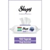 Sleepy Mountain Yüzey Temizlik Havlusu&mendili Dağ Esintisi 100 Yaprak