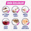 Vanish Oxi Action Çok Amaçlı Halı, Koltuk Ve Evcil Hayvan Leke Çıkarıcı Sprey 500 ml