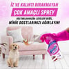 Vanish Oxi Action Çok Amaçlı Halı, Koltuk Ve Evcil Hayvan Leke Çıkarıcı Sprey 500 ml