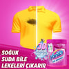 Vanish Oxi Action Multipower Renkliler İçin Deterjan Güçlendirici Toz ve Leke Çıkarıcı 970 gram