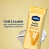 Vaseline Vücut Losyonu Temel Onarım Kuru Ciltler İçin 200 ml