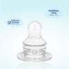 Wee Baby Damaklı Silikon Biberon Emziği Normal Akış No:2 6-18 Ay