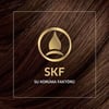 Wella Koleston Kit Saç Boyası 66/46 Aşk Alevi