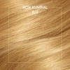 Wella Koleston Kit Saç Boyası 8/0 Açık Kumral