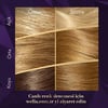 Wella Koleston Supreme Kit 12/11 Yoğun Küllü Sarı