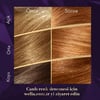 Wella Koleston Supreme Kit 8/74  Kahve