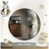 Xo Daisy Spark For Woman Set EDT 100 ml + Deo150 ml