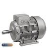 AEMOTAEMOT-AA80M6AAEMOT AEMOT-AA80M6A 0,37KW 1000D/DK TRIFAZE MOTOR IE1