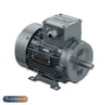 AEMOTAEMOT-AAH80M2AAEMOT AEMOT-AAH80M2A 0,75KW 3000D/DK B3 TRIFAZE MOTOR IE2
