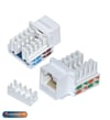 MUTLUSAN888 049 050032MUTLUSAN 888 049 050032 45X45 DATA KONNEKTORU KEYSTONE JACK CAT6 1X8
