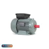 VOLTVOLT-VSSA71M2D-B34 MONOFAZEVOLT VOLT-VSSA71M2D-B34 MONOFAZE 220V 0,55 KW 3000D/DK B34 MONOFAZE MOTOR IE1
