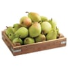 ARMUT SANTA MARİA