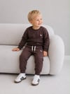Erkek Çocuk Dinozor Nakışlı Bisiklet Yaka Sweatshirt Pantolon 2’li Alt Üst Takım