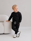 Erkek Çocuk Dinozor Nakışlı Bisiklet Yaka Sweatshirt Pantolon 2’li Alt Üst Takım