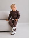 Erkek Çocuk Dinozor Nakışlı Bisiklet Yaka Sweatshirt Pantolon 2’li Alt Üst Takım