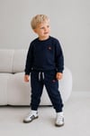 Erkek Çocuk Dinozor Nakışlı Bisiklet Yaka Sweatshirt Pantolon 2’li Alt Üst Takım