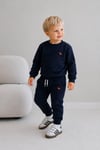 Erkek Çocuk Dinozor Nakışlı Bisiklet Yaka Sweatshirt Pantolon 2’li Alt Üst Takım