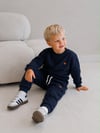 Erkek Çocuk Dinozor Nakışlı Bisiklet Yaka Sweatshirt Pantolon 2’li Alt Üst Takım