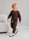 Erkek Çocuk Dinozor Nakışlı Bisiklet Yaka Sweatshirt Pantolon 2’li Alt Üst Takım