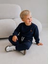 Erkek Çocuk Dinozor Nakışlı Bisiklet Yaka Sweatshirt Pantolon 2’li Alt Üst Takım