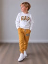 Erkek Çocuk Nakışlı Bisiklet Yaka Sweatshirt Jogger Pantolon Alt Üst Takım