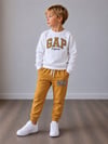 Erkek Çocuk Nakışlı Bisiklet Yaka Sweatshirt Jogger Pantolon Alt Üst Takım