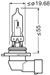 AMPUL 12V HB3 60W P20d 