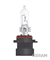 AMPUL 12V HB3A 60W TEK TELLİ FAR VE SİS 