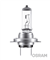AMPUL 24V H7 70 WATT 