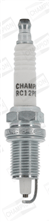 PLATINUM BUJİ 6 LI