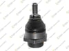 ROTİL ALT KİTSİZ MG TF 02-09 