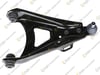 SALINCAK KOMPLE ALT SAĞ SAC RENAULT R9 1.1/1.2/1.4 85-89, R11 1.1/1.2/1.4 83-88 