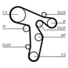 TRİGER SETİ + DEVİRDAİM 160X30MM AUDI A4 2.0 TDI 07-15, A5 2.0 TDI 08-17, A6 2.0 TDI 04-11, VOLKSWAGEN PASSAT 2.0 TDI 05-12, TIGUAN 2.0 TDI 07-18, SKODA SUPERB 2.0 TDI 08-15 CBAB-CBBB-CAGA 