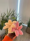 Şönil Mini Lilyum