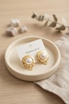 316L Çelik Gold Renk İncili Model Küpe