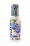 ARİZONA BLUBERRY WHİTE TEA 450 ML