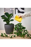 - IKEA - Chılıfrukt, Vazo, Sulama Kabı, 17 Cm, Parlak Sarı