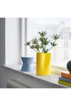 - IKEA - Chılıfrukt, Vazo, Sulama Kabı, 17 Cm, Parlak Sarı