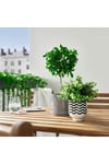 Drömsk toprak saksı siyah-beyaz desenli 9 cm çap 12 cm yükseklik 90536021