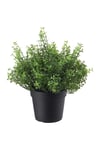 Fejka Arapsaçı Çiçeği 9 Cm 00532777