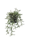 Fejka Yapay Bitki Senecio Radicans - 13 Cm