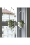 Fejka Yapay Bitki Senecio Radicans - 13 Cm