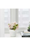 Förenlıg Saksı Beyaz 9 Cm 70454813